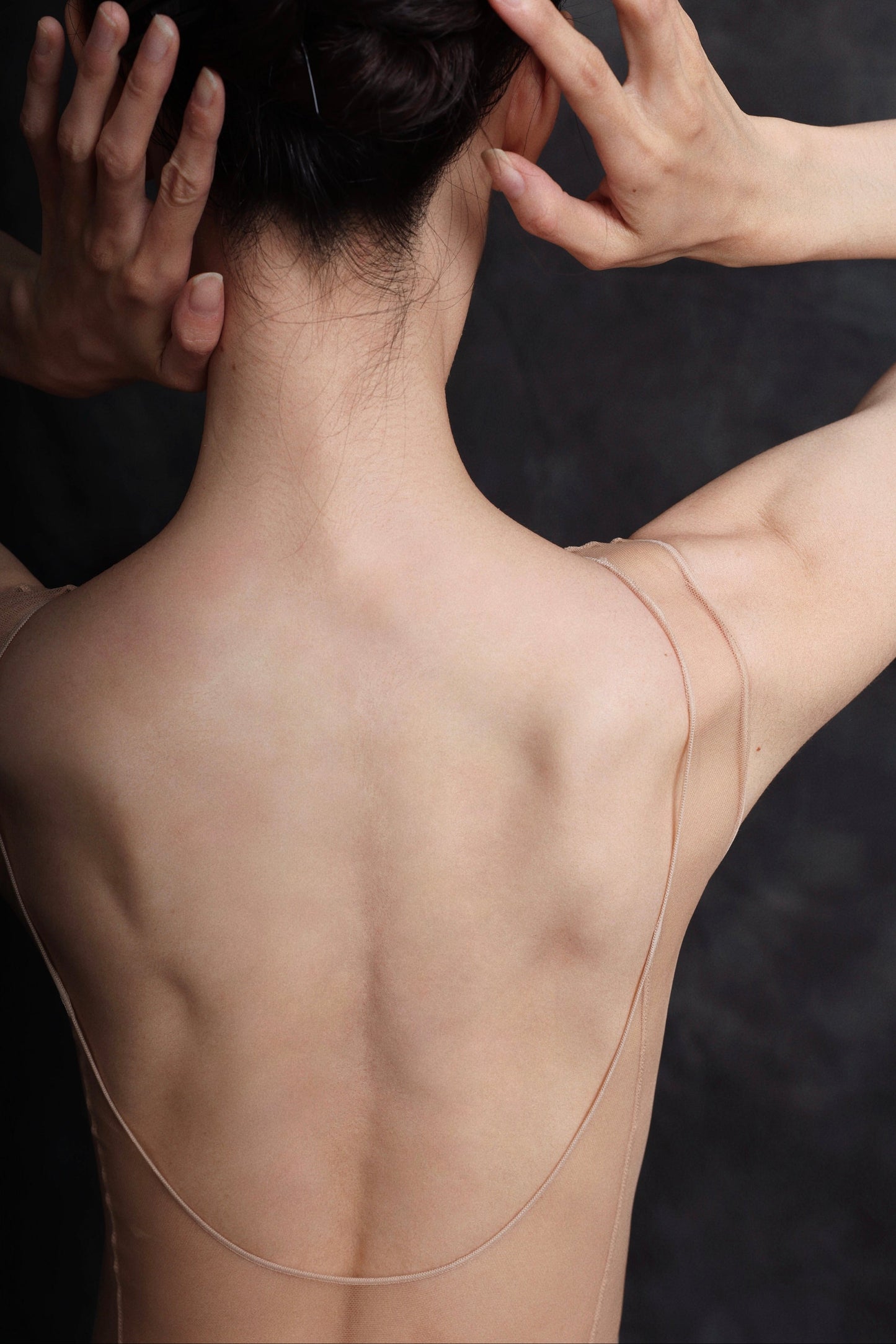 Butterfly — Gilt — Mesh Leotard