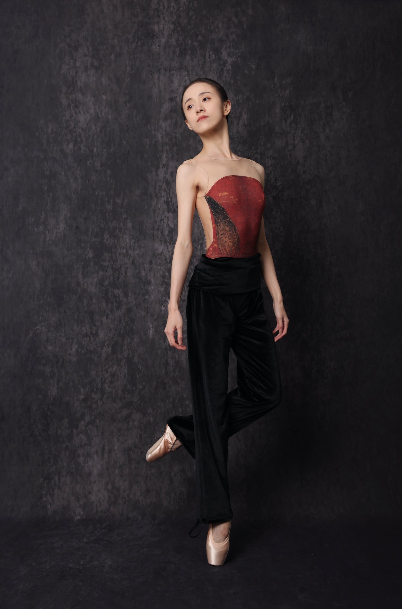 Peacock — Mesh Leotard