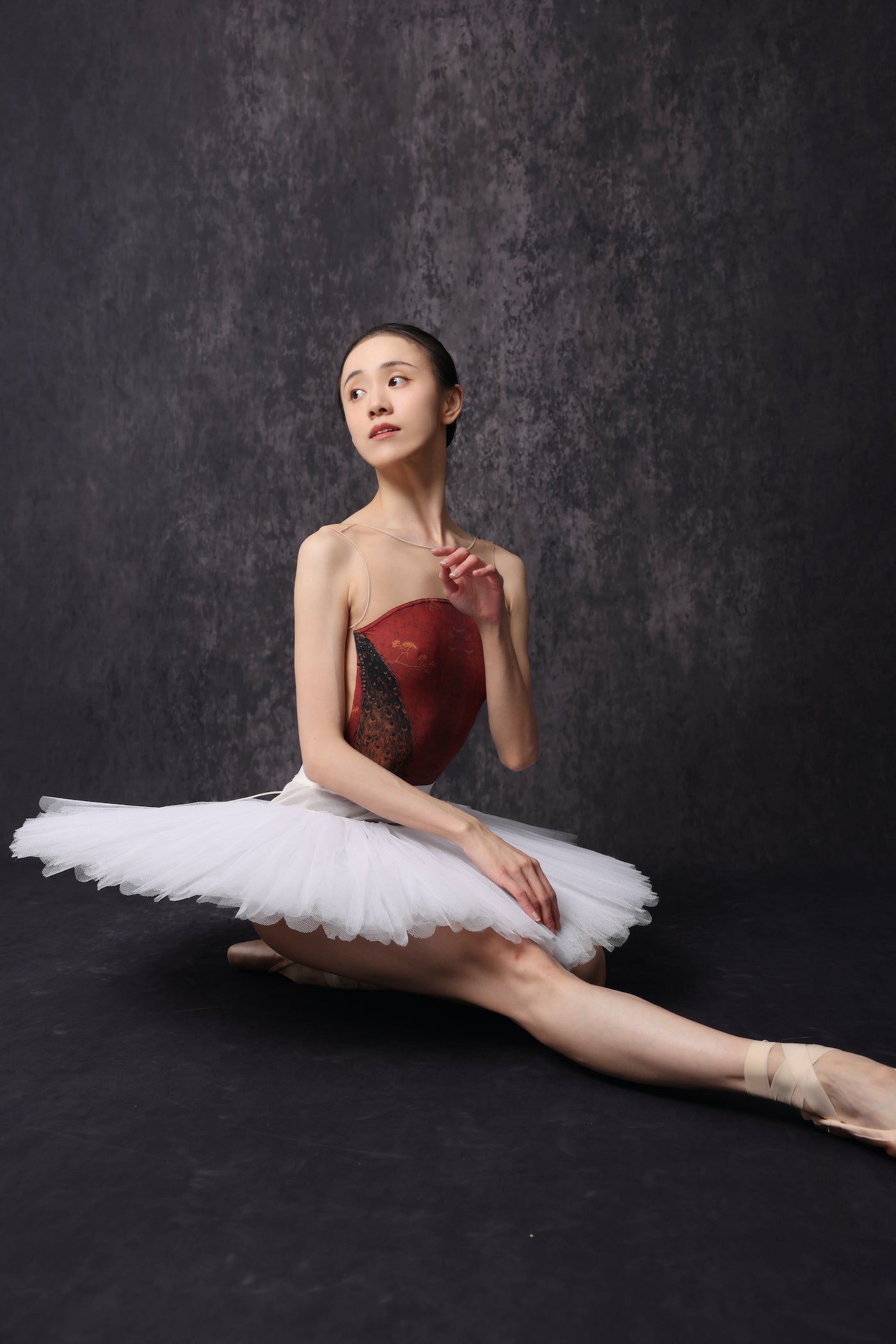 Peacock — Mesh Leotard